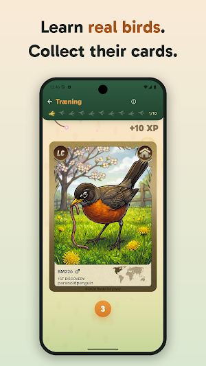 Birdey: Real Bird Card Game Screenshot 0