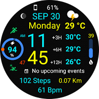 Informative WearOS 5 NTV576