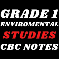 Grade 1: environment studies