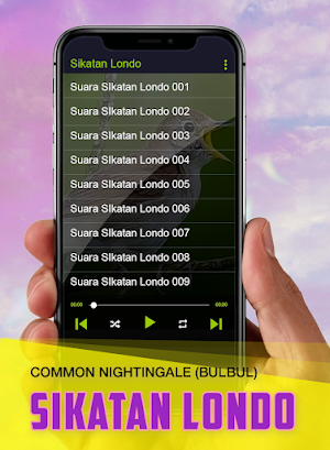 Kicau Burung: Sikatan Londo Screenshot 3