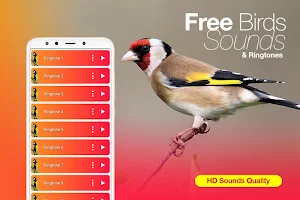 Best Bird Sounds, Calls & Ringtones Screenshot 1