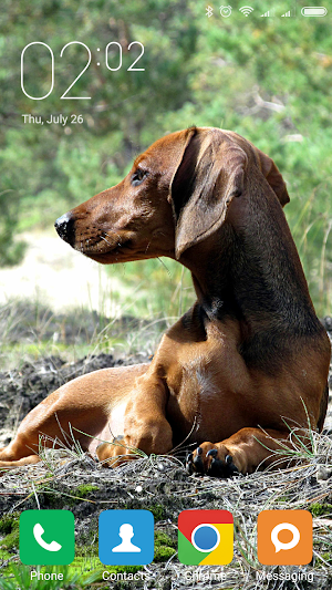 Dachshund Wallpapers Screenshot 3