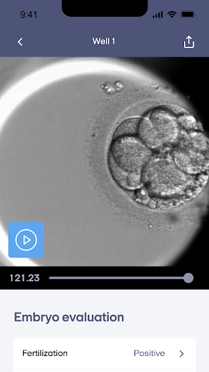 AIVF Screenshot 1