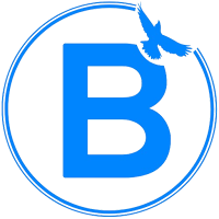 BlueBook