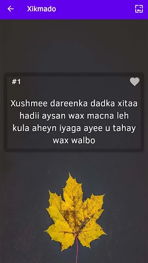 Xikmado Cusub Screenshot 1