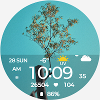 AWD Photo Gif Watchface