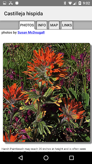 Mt Rainier Wildflowers Screenshot 3