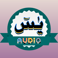 Surah Yasin Audio