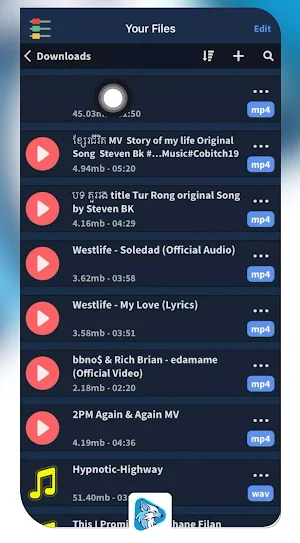 FoxFM Video Player Downloader Screenshot 2