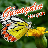 Turkish Good Morning Greetings