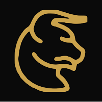 Taurus Finance