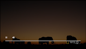 NB WEB TV HD Screenshot 3