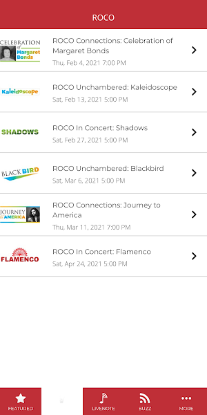 ROCO Houston Screenshot 2
