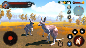The Kangaroo Screenshot 2