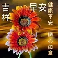 早安
