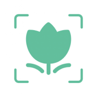 Plant Identification