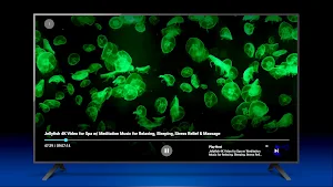 Jelly Fish Screenshot 1