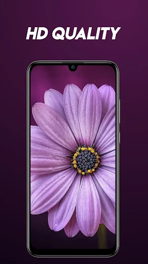 Super Cool Wallpaper-4k & Slider wallpaper (HD) Screenshot 3