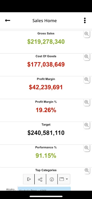 Smarten Analytics Screenshot 2