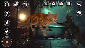 Cat Fighting Battle: Tom Games Screenshot 1