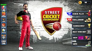 Street Cricket Championship Screenshot 0