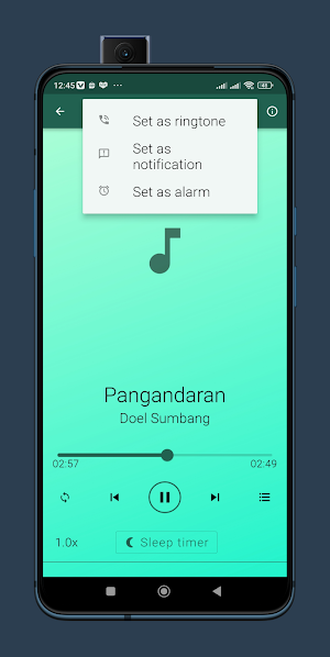 Doel Sumbang Musik 2024 Screenshot 3