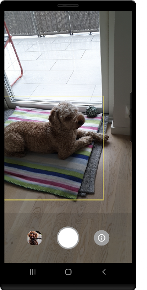 NdsSoft Dog Camera Screenshot 0