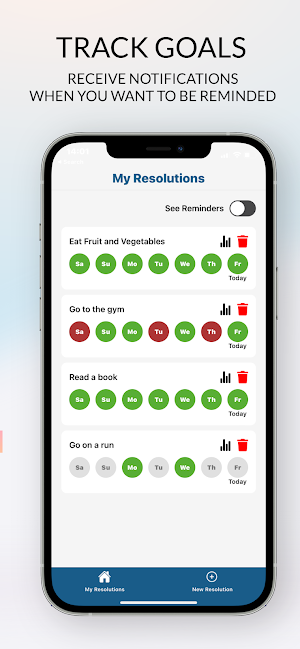 New Year's Resolutions 2024 Screenshot 2