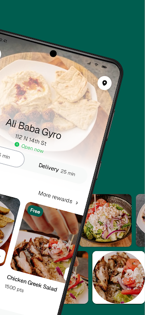 Ali Baba Gyro Screenshot 1