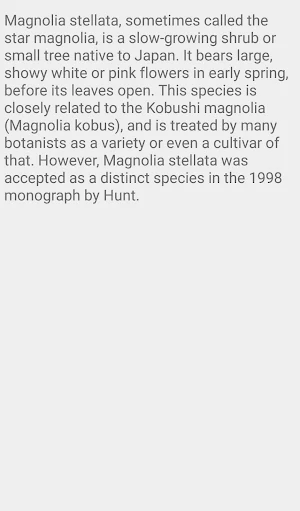 Star Magnolia Flower Screenshot 2