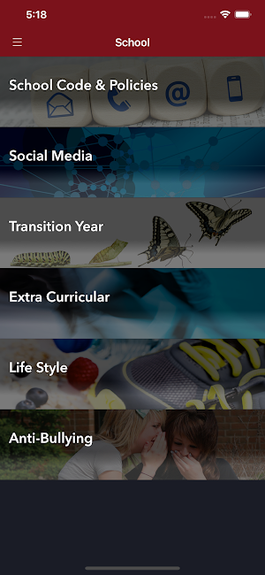 Loreto Secondary School, Navan Screenshot 2