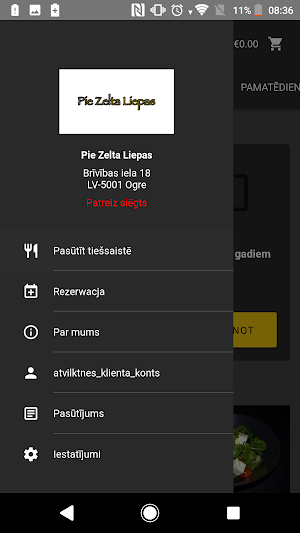 Pie Zelta Liepas DB Screenshot 2