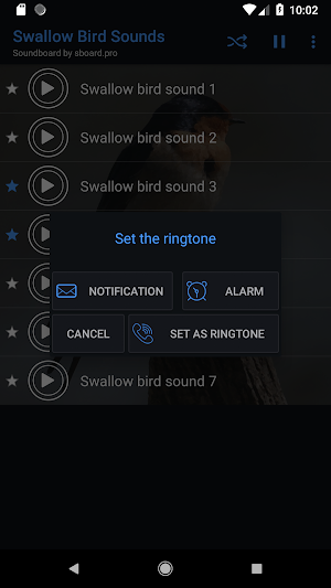 Swallow bird sounds ~ Sboard.pro Screenshot 2