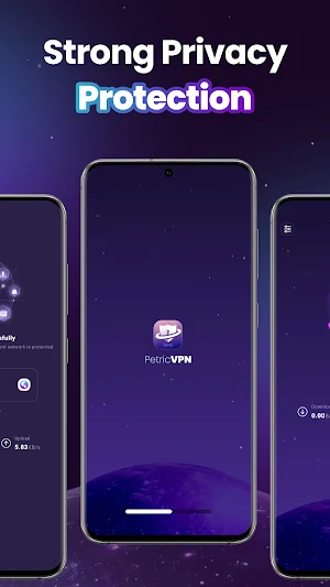 PetricVPN Screenshot 0
