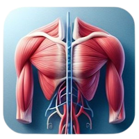 AR Anatomy