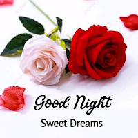 Good Night Flowers