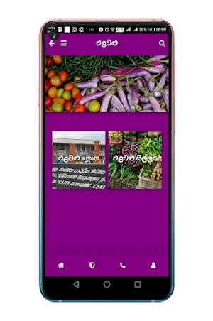 Daily price sri lanka Screenshot 1
