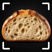 Bread Rescue: Sourdough Fix