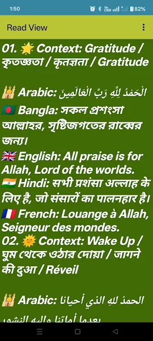 Daily Islam Screenshot 2