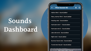 Wind Sounds Screenshot 1