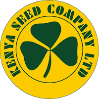 Kenya Seed