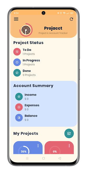 Project and Accounting App Screenshot 3