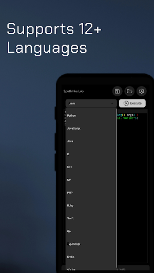 Spothinks Lab - Compiler Screenshot 2