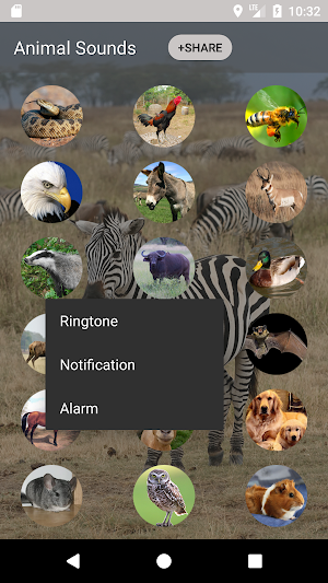 Animal sounds and Ringtone Screenshot 2