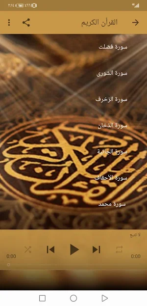 ابو بكرالشاطري بدون نت القران ج4 بجودة عاليةlجنة Screenshot 1