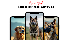 Kangal Dog Wallpaper Screenshot 0