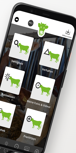 FitForCows Screenshot 1