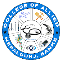 College Of Allied