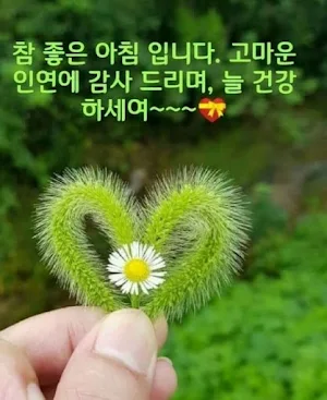 카드 좋은 아침 Screenshot 2