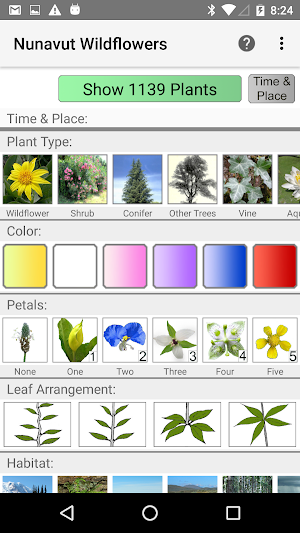 Nunavut Wildflowers Screenshot 0
